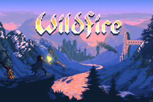 野火/Wildfire/单机.同屏多人