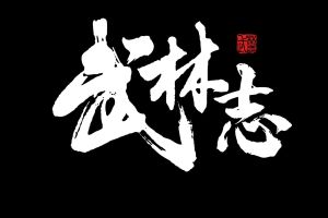 武林志：风云再起
