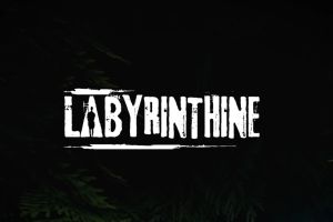 迷宫探险/Labyrinthine/单机.网络联机